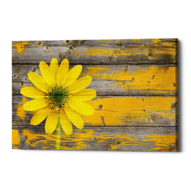 'Wood Series: Rustic Daisy' Canvas Wall Art