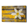'Wood Series: A Rustic Paradise' Canvas Wall Art