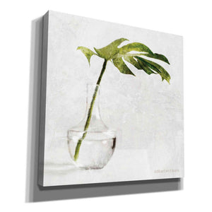 'Single Green Stem in Glass' by Bluebird Barn, Canvas Wall Art,Size 1 Sqaure