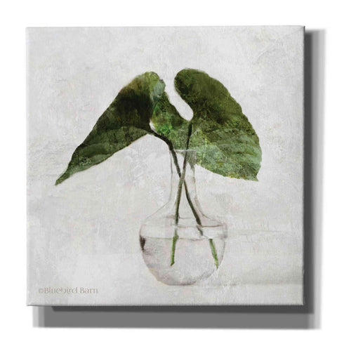 Image of 'Stems in Glass' by Bluebird Barn, Canvas Wall Art,Size 1 Sqaure