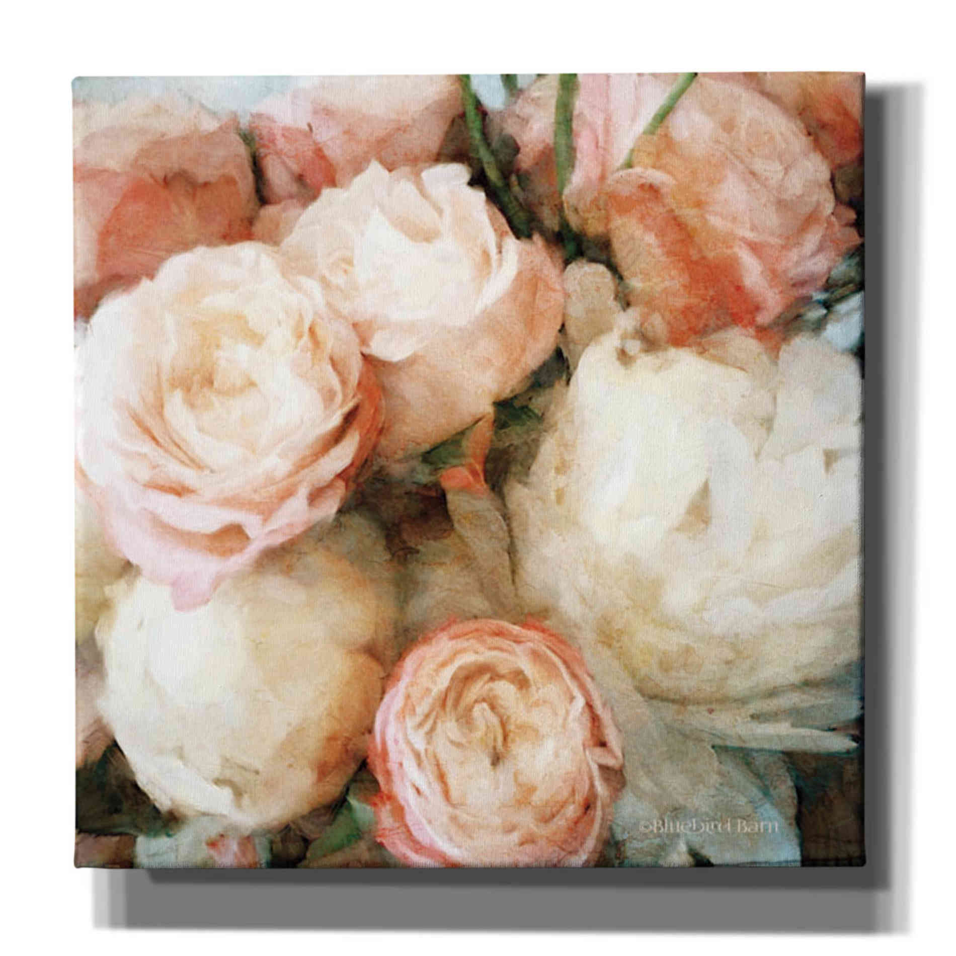 'English Rose Garden' by Bluebird Barn, Canvas Wall Art,Size 1 Sqaure