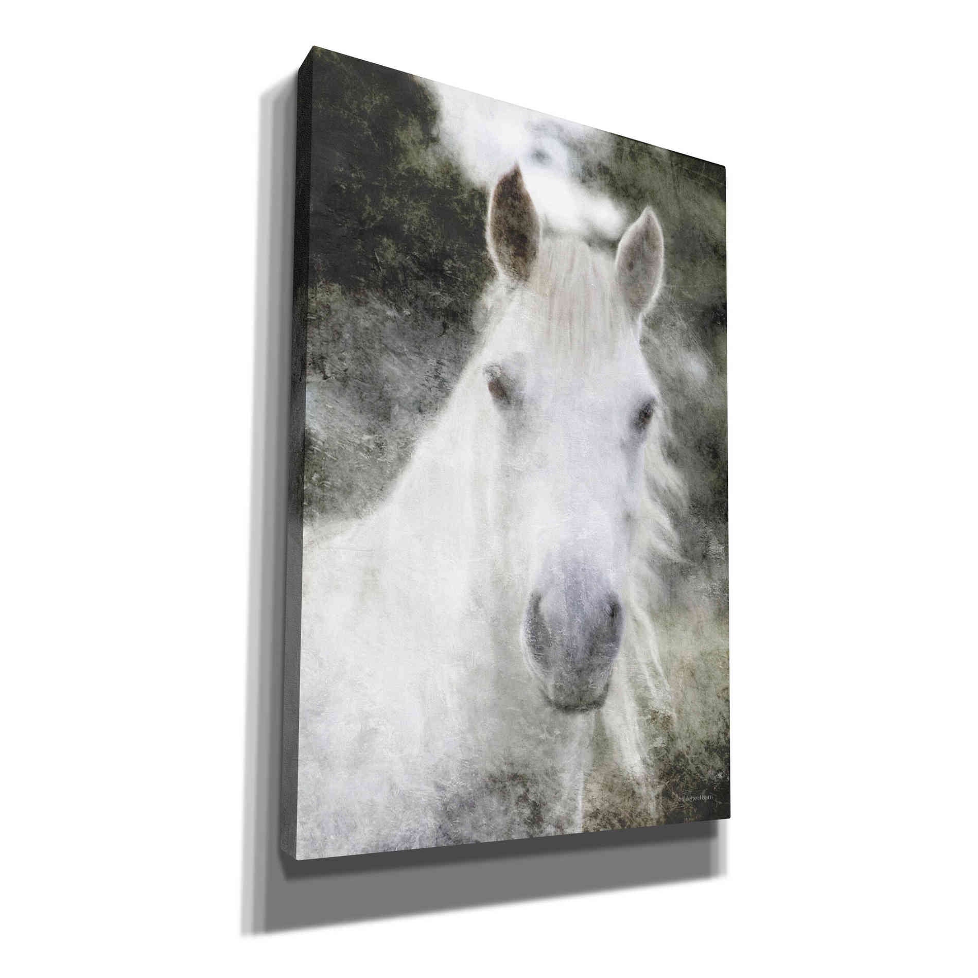 'White Horse Mystique' by Bluebird Barn, Canvas Wall Art,Size A Portrait