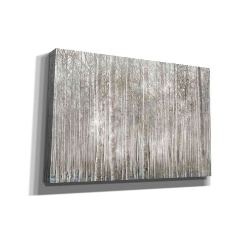 Image of 'Birch Trees' by Bluebird Barn, Canvas Wall Art,Size A Landscape
