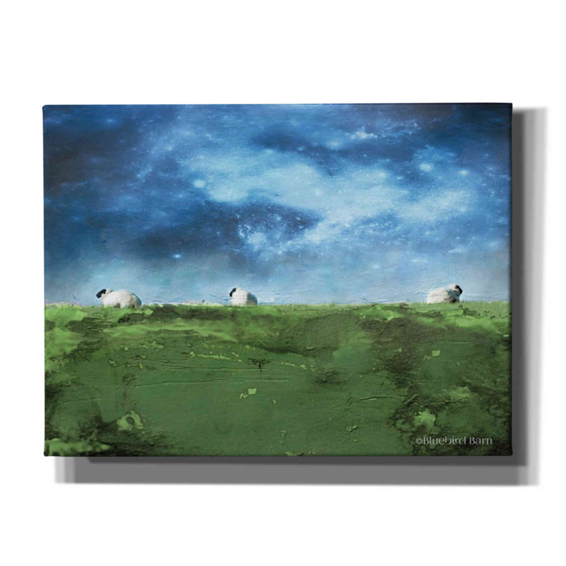 'Distant Hillside Sheep by Night' by Bluebird Barn, Canvas Wall Art,Size B Landscape