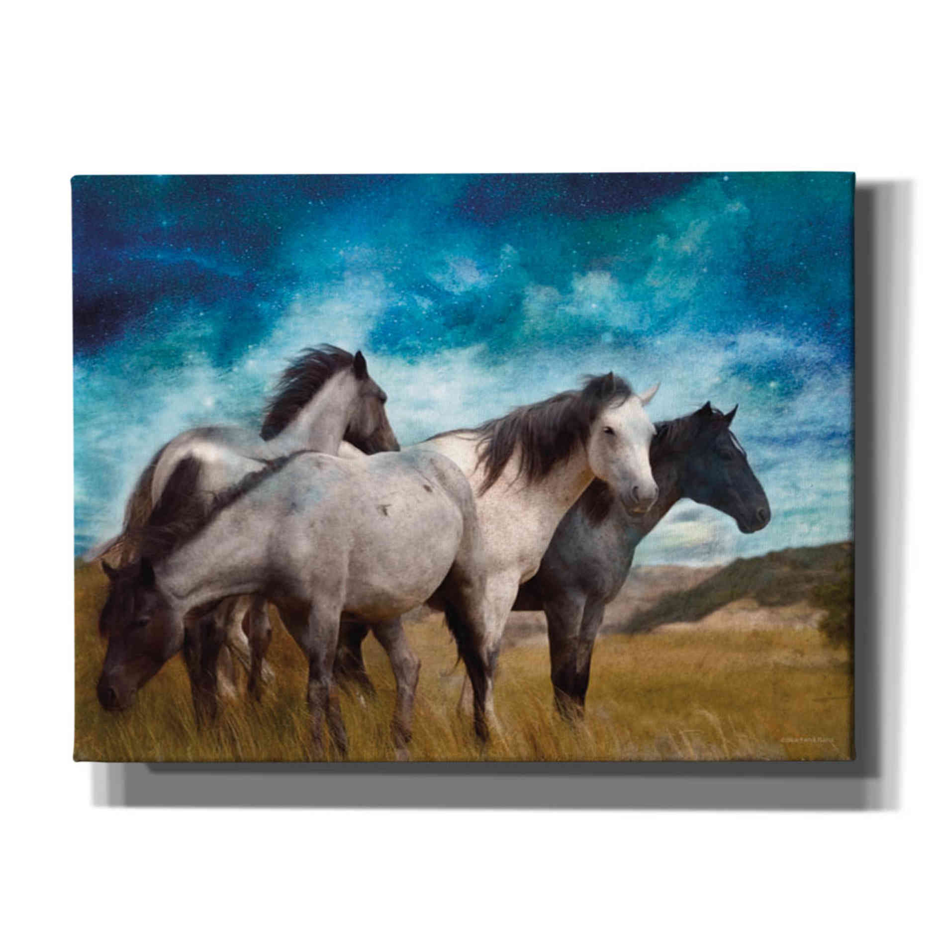 'Starry Night Horse Herd' by Bluebird Barn, Canvas Wall Art,Size B Landscape