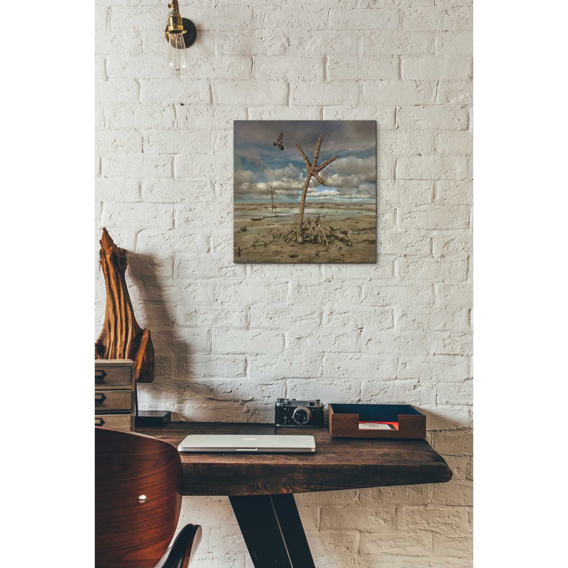 'Wetlands' by Dariusz Klimczak, Canvas Wall Art,12x12