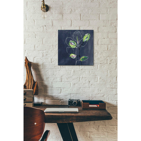 Image of 'Eucalyptus on Blue' by Linda Woods, Canvas Wall Art,12 x 12