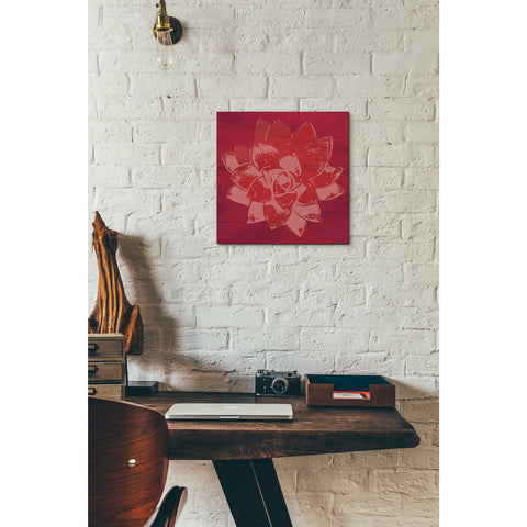 Image of 'Boho Succulent Red' by Linda Woods, Canvas Wall Art,12 x 12