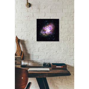 'Crab Nebula Multi-Wavelengths' Hubble Space Telescope Canvas Wall Art,12 x 12