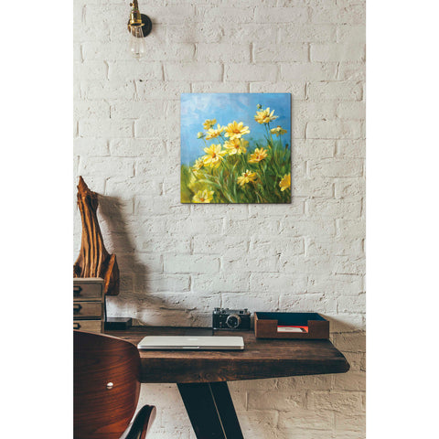 Image of 'Summer Field I' by Danhui Nai, Canvas Wall Art,12 x 12
