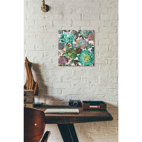 Image of 'Floral Succulents v2 Crop on Pink' by Danhui Nai, Canvas Wall Art,12 x 12