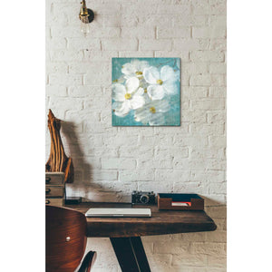 'Indiness Blossom Square Vintage II' by Danhui Nai, Canvas Wall Art,12 x 12
