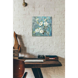 'Graceful Magnolia II' by Danhui Nai, Canvas Wall Art,12 x 12