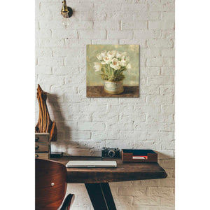'Hatbox Tulips' by Danhui Nai, Canvas Wall Art,12 x 12