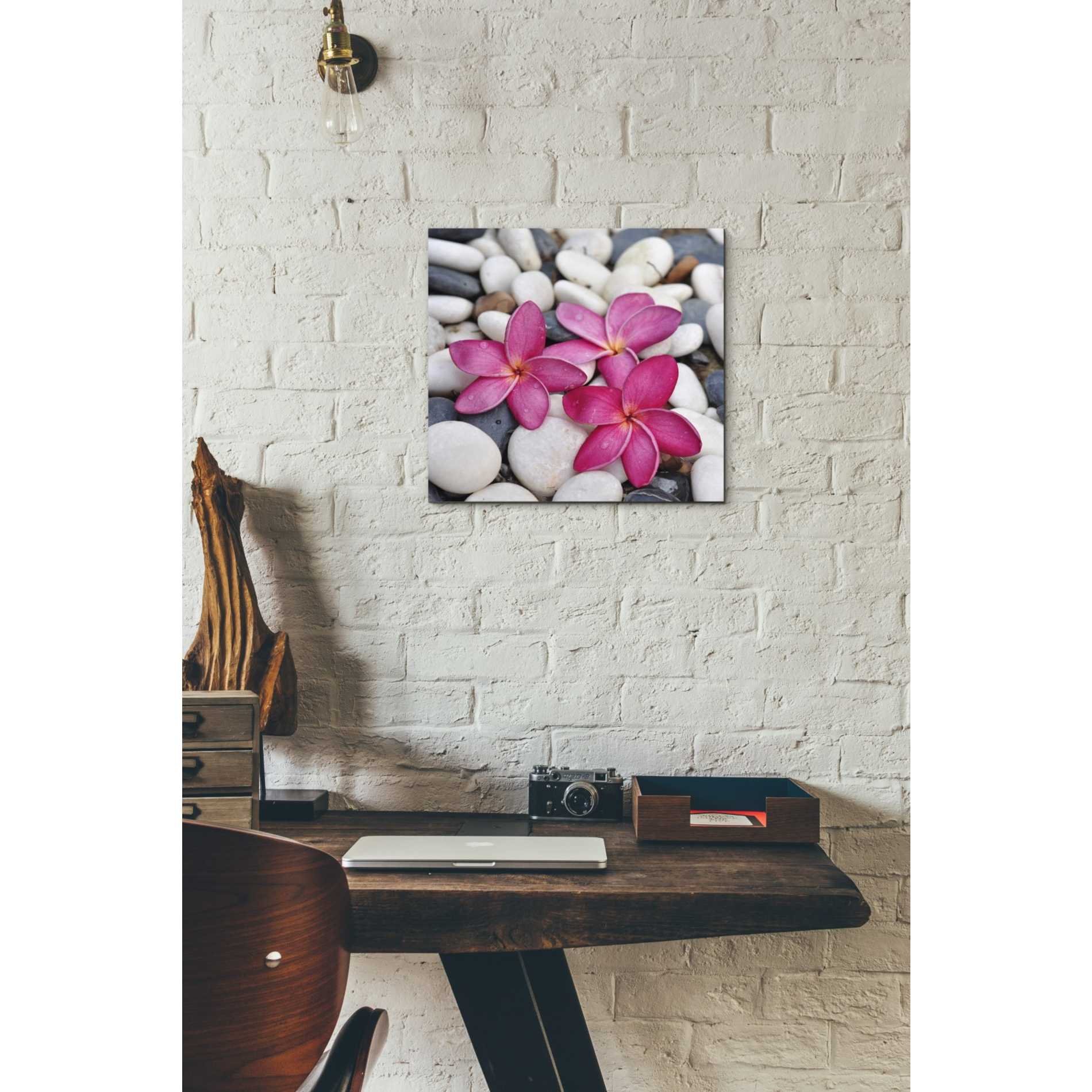 'Shintai II' Canvas Wall Art,12 x 12