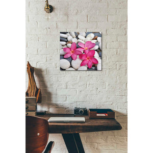 'Shintai II' Canvas Wall Art,12 x 12