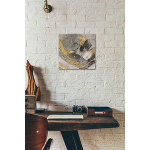 'Arroyo Gold and Black' by Albena Hristova, Canvas Wall Art,12 x 12
