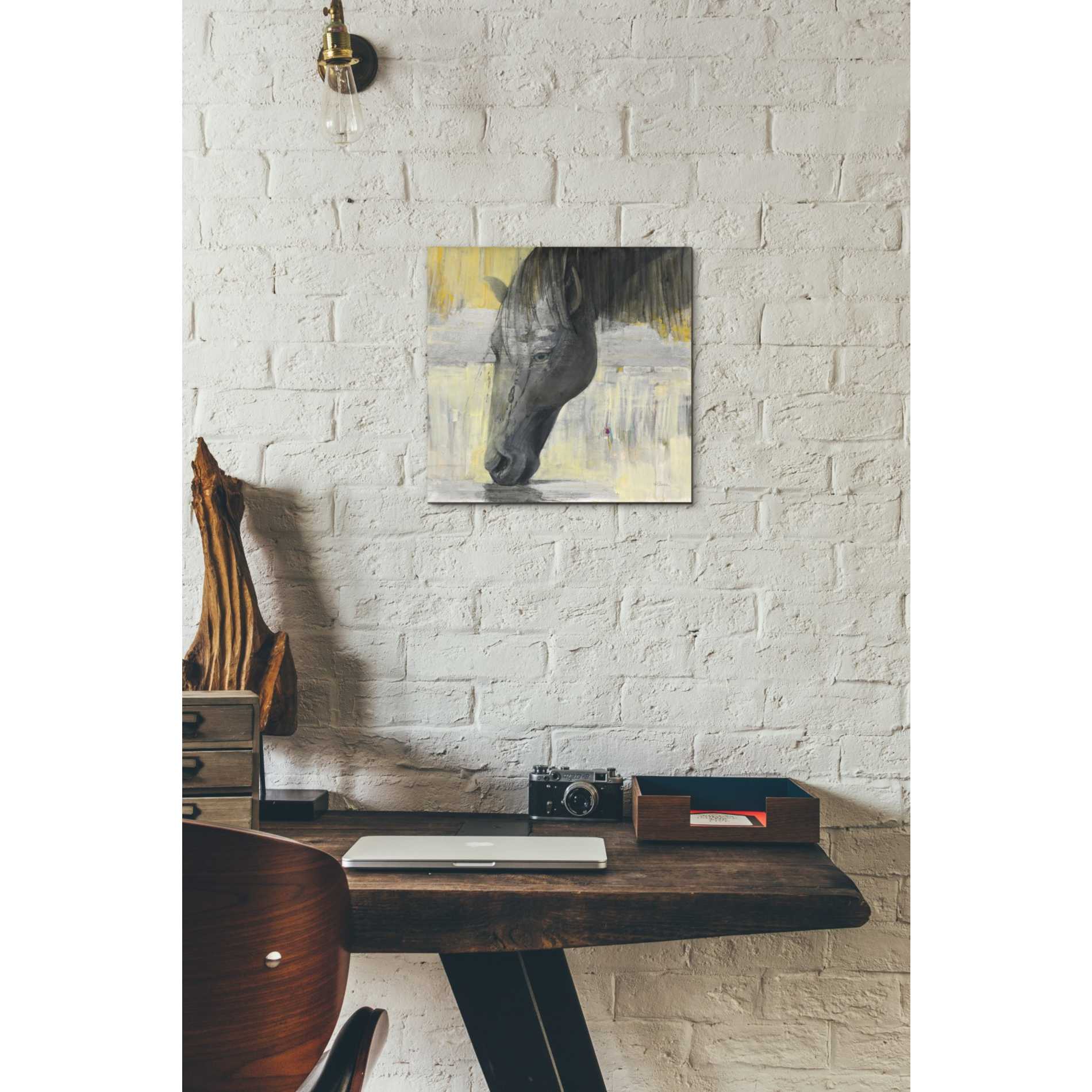 'Caleb' by Albena Hristova, Canvas Wall Art,12 x 12