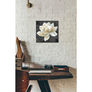 'Majestic Magnolia Neutral Sq' by Albena Hristova, Canvas Wall Art,12 x 12