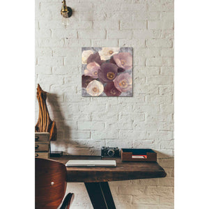 'Eventide Plum' by Albena Hristova, Canvas Wall Art,12 x 12