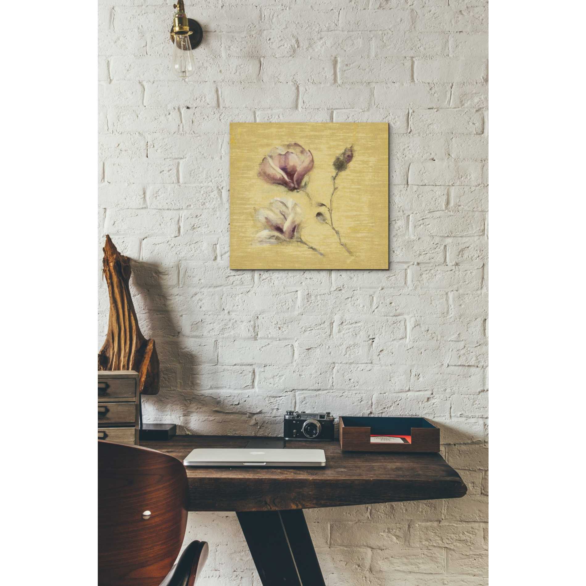 'Magnolia Blossom on Gold' by Cheri Blum, Canvas Wall Art,12 x 12