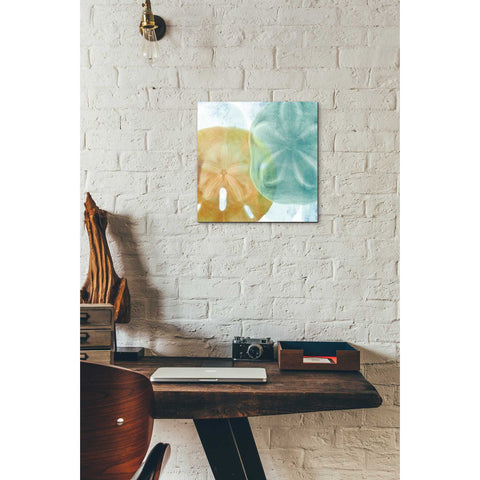 Image of 'Luminous Seashells' by Elena Ray Canvas Wall Art,12 x 12