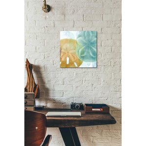 'Luminous Seashells' by Elena Ray Canvas Wall Art,12 x 12