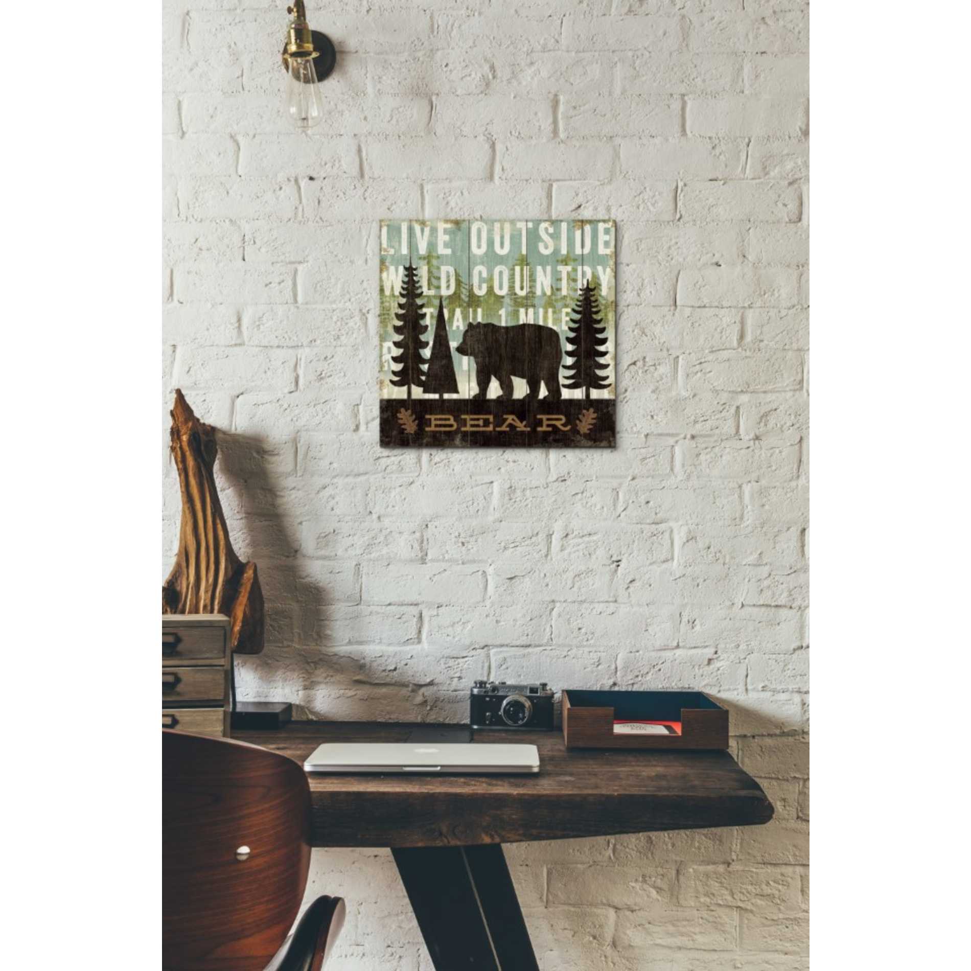 'Simple Living Bear' by Michael Mullan, Canvas Wall Art,12 x 12