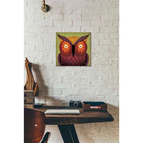 Image of 'Owl Wow' by Ryan Fowler, Canvas Wall Art,12 x 12