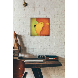 'Lion Wow' by Ryan Fowler, Canvas Wall Art,12 x 12