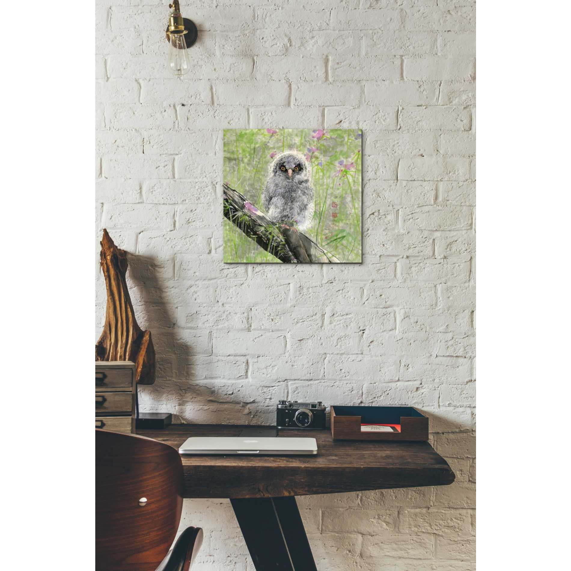 'Owlet' by River Han, Giclee Canvas Wall Art