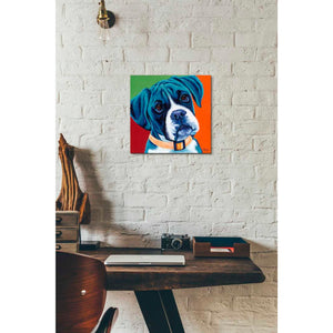 'Cute Pups I' by Carolee Vitaletti Giclee Canvas Wall Art