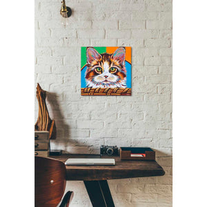 'Kitten in Basket II' by Carolee Vitaletti Giclee Canvas Wall Art