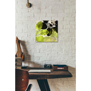 'Bloomer Tiles VI' by James Burghardt Giclee Canvas Wall Art