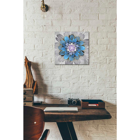 Image of 'Fractal Blooms III' by James Burghardt Giclee Canvas Wall Art