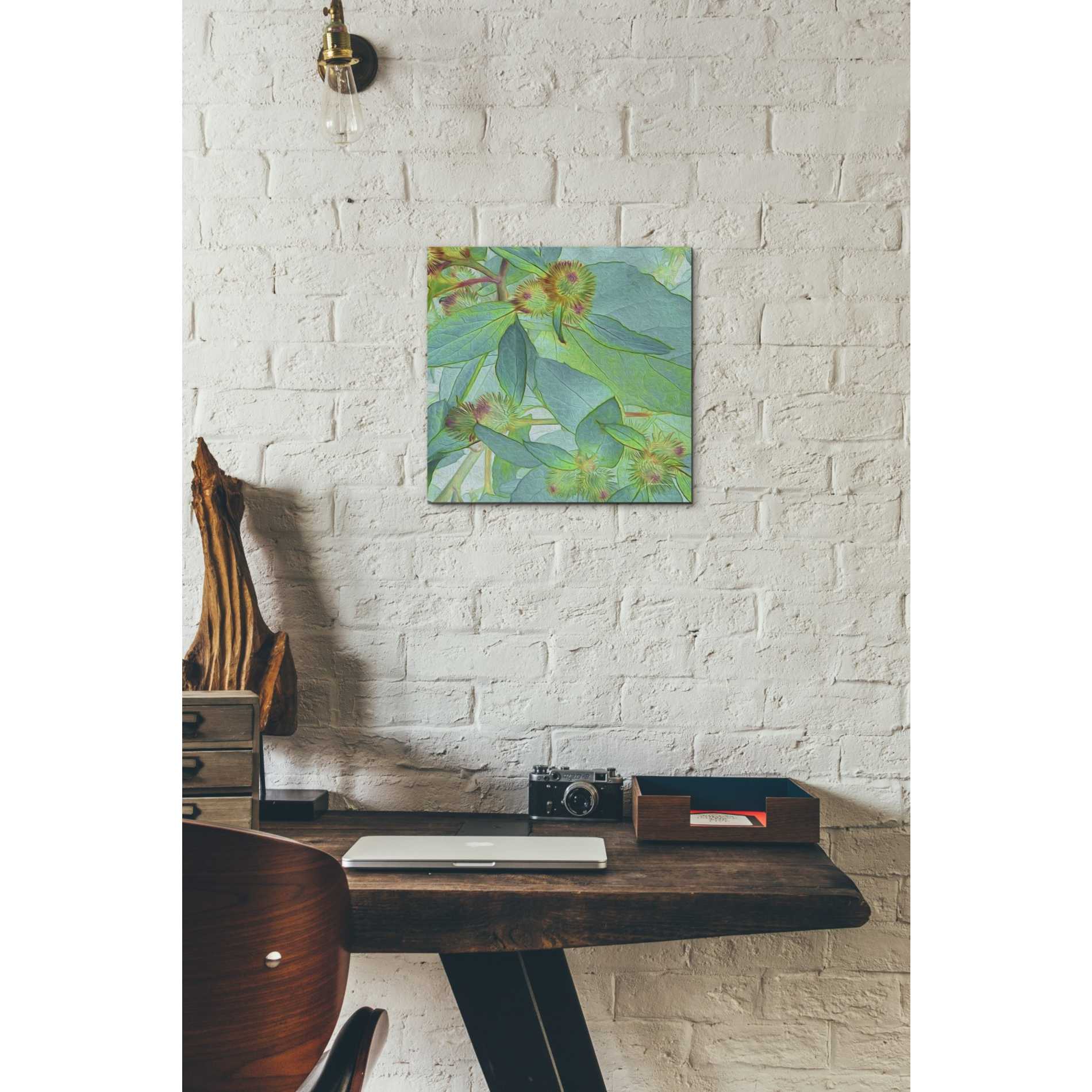 'Prickley Tiles I' by James Burghardt Giclee Canvas Wall Art
