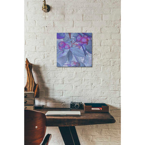 'Prickley Tiles IV' by James Burghardt Giclee Canvas Wall Art
