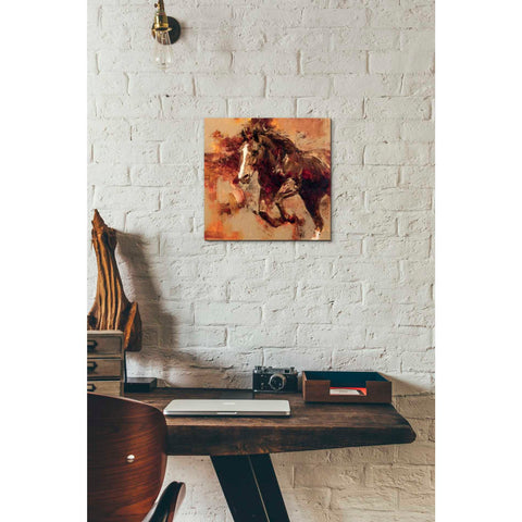 Image of 'Earth, Wind, Fire' by Julie T. Giclee Canvas Wall Art