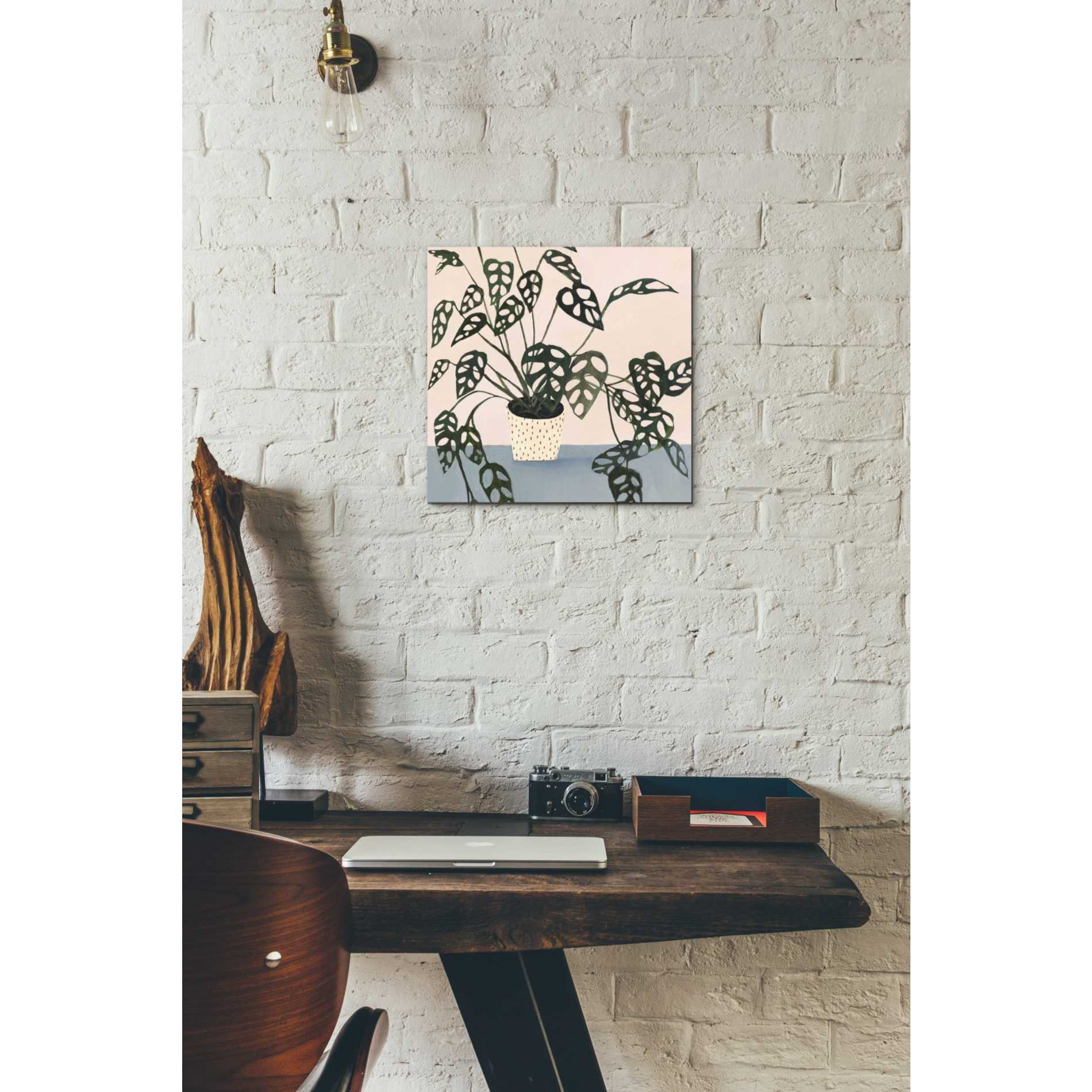 'Houseplant I' by Victoria Borges Canvas Wall Art,12 x 12