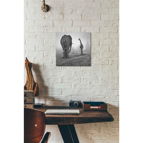 Image of 'Animalia' by Dariusz Klimczak, Giclee Canvas Wall Art