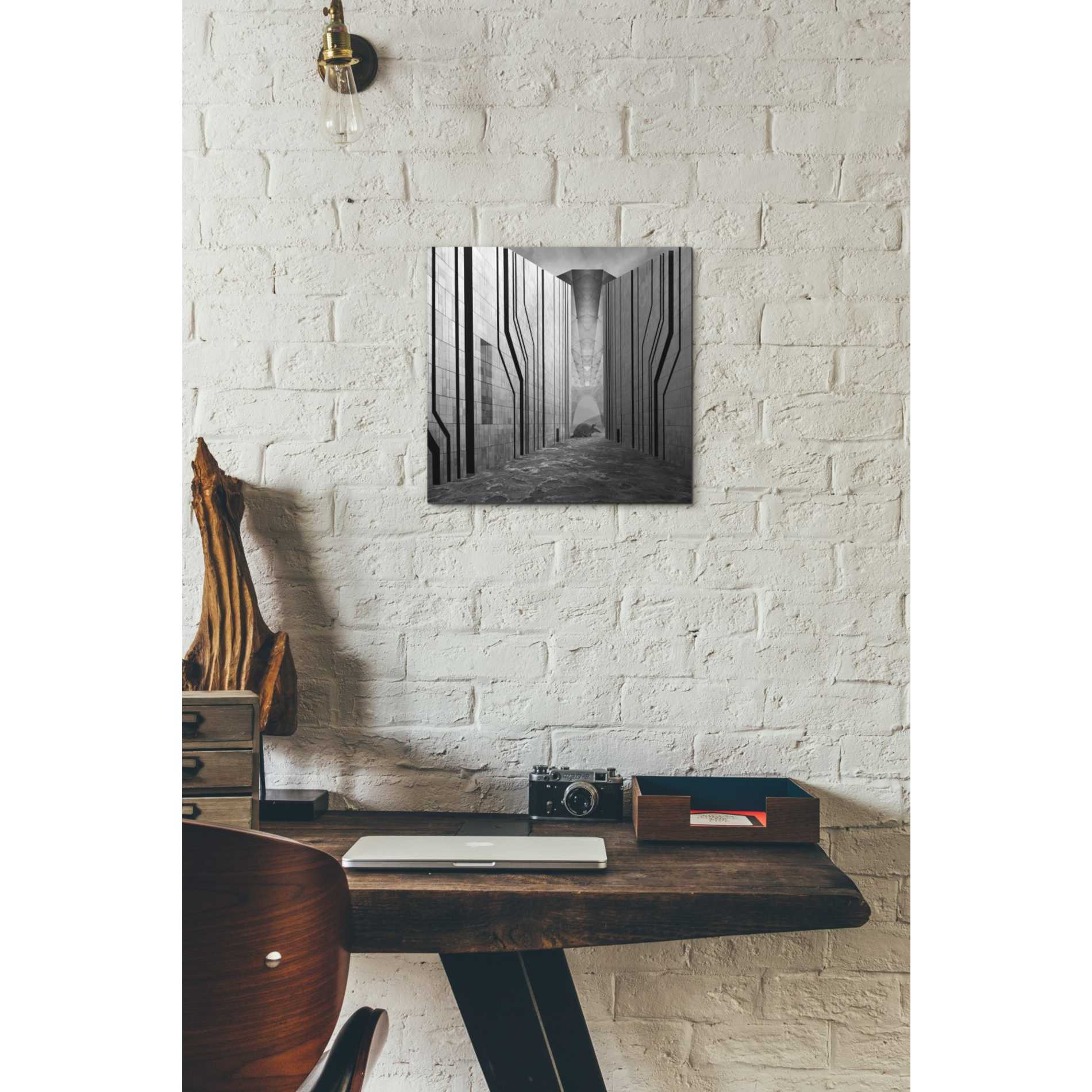 'Armadillo' by Dariusz Klimczak, Giclee Canvas Wall Art