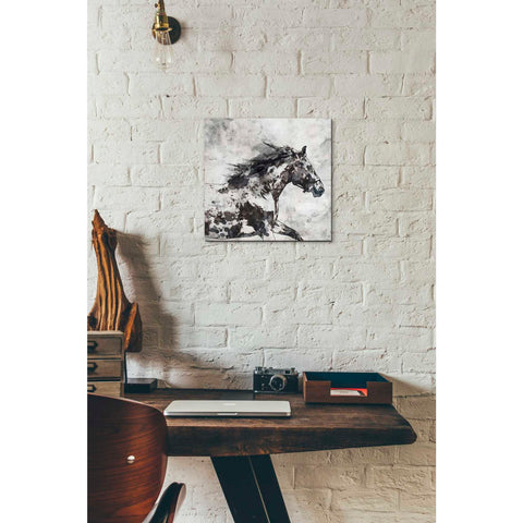 Image of 'Bay Horse 4' by Irena Orlov, Canvas Wall Art,12 x 12