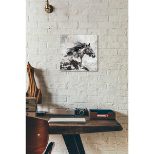 'Bay Horse 4' by Irena Orlov, Canvas Wall Art,12 x 12