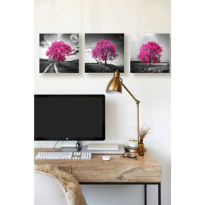 'Vibrant Tree Series: Magenta Triptych (Set of 3)' Canvas Wall Art,36x12