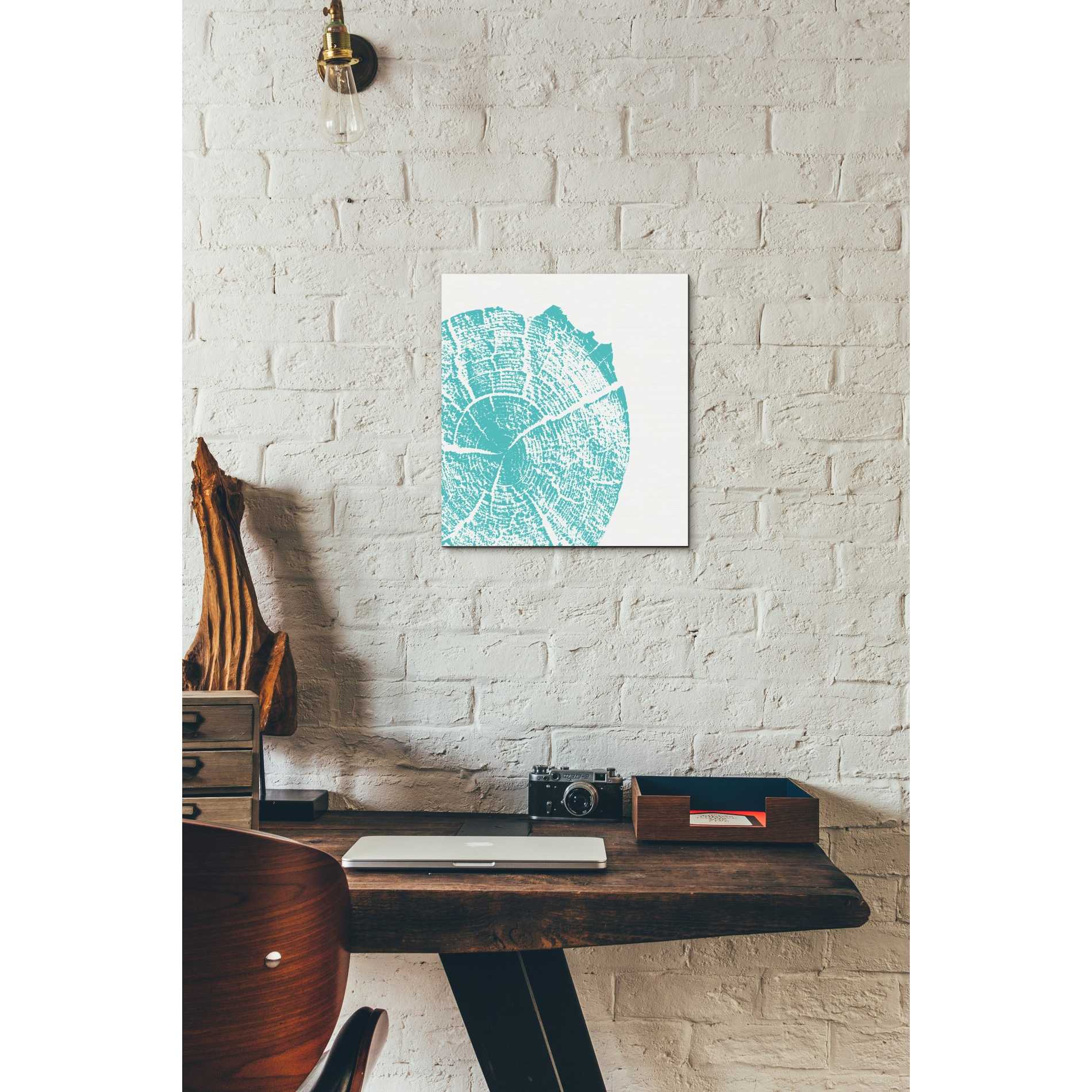 'Aqua Slice' by Linda Woods, Canvas Wall Art,12 x 12