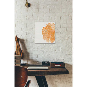 'Orange Slice' by Linda Woods, Canvas Wall Art,12 x 12