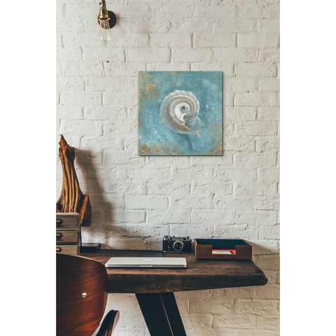 Image of 'Treasures From The Sea III' by Danhui Nai, Canvas Wall Art,12 x 12