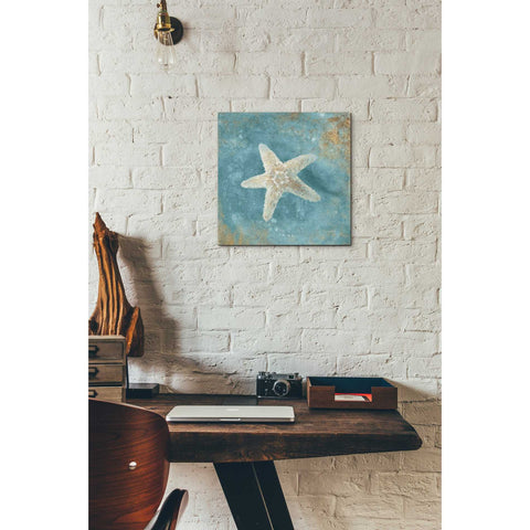 Image of 'Treasures From The Sea IV' by Danhui Nai, Canvas Wall Art,12 x 12