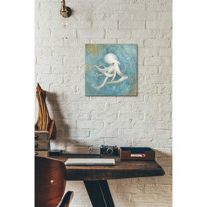 'Treasures From The Sea V' by Danhui Nai, Canvas Wall Art,12 x 12