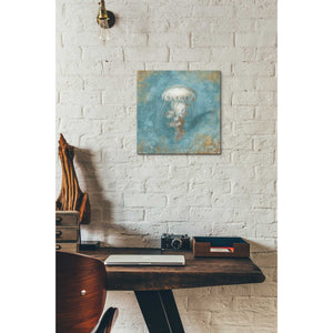 'Treasures From The Sea VI' by Danhui Nai, Canvas Wall Art,12 x 12